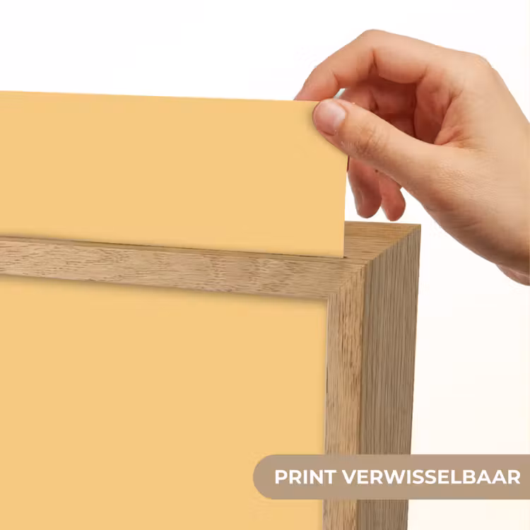 Apricot - Ice - Oranje Light Box met kabel (Wandlamp) klein 929 -USP_websiteprintNL