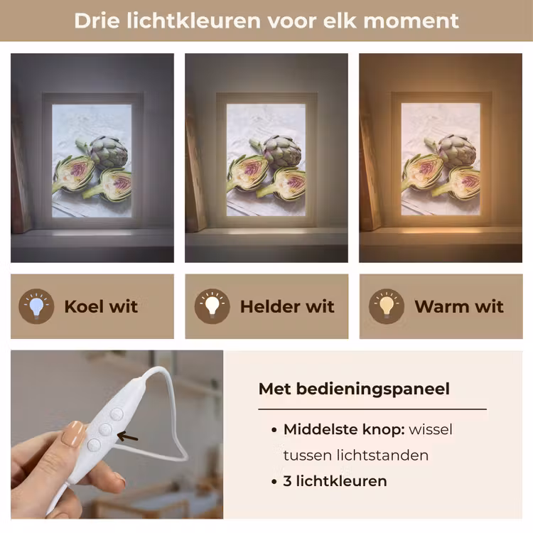 Lightbox - Wandlamp - Artisjok - Doorgesneden - Eten - Artisjok - Doorgesneden - Eten Light Box met kabel (Wandlamp) klein