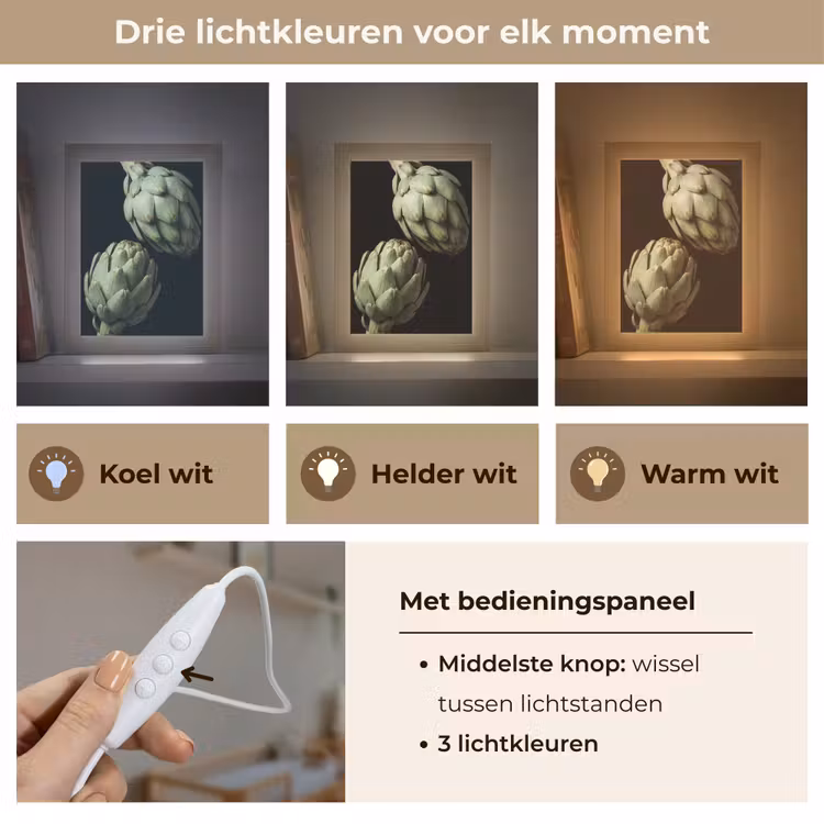 Lightbox - Wandlamp - Artisjok - Groen - Eten - Artisjok - Groen - Eten Light Box met kabel (Wandlamp) klein