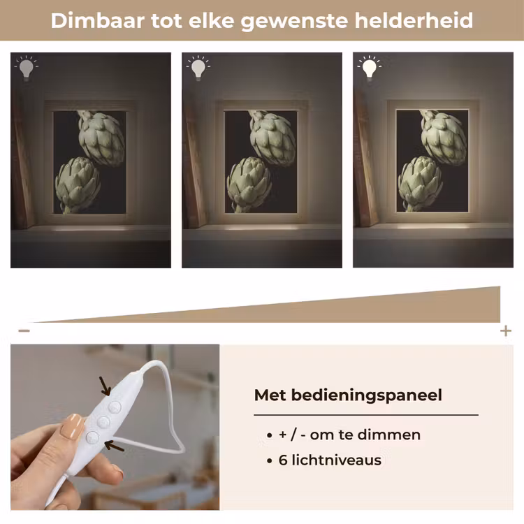Lightbox - Wandlamp - Artisjok - Groen - Eten - Artisjok - Groen - Eten Light Box met kabel (Wandlamp) klein