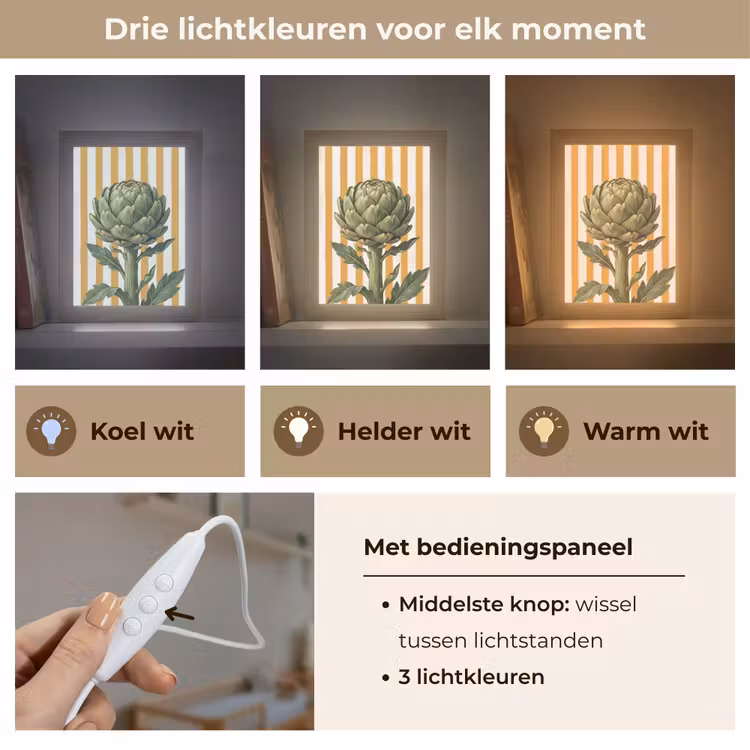 Lightbox - Wandlamp - Artisjok - Modern - Groente - Artisjok - Modern - Groente Light Box met kabel (Wandlamp) klein