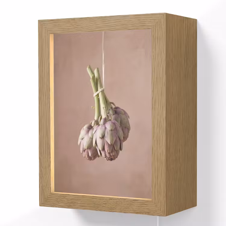 Lightbox - Wandlamp - Artisjokken - Hangend - Groenten - Artisjokken - Hangend - Groenten Light Box met kabel (Wandlamp) klein