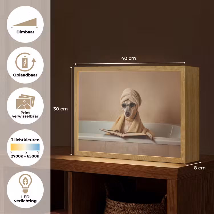 Bad - Hond - Boek - Zonnebril Light Box met batterij (Wandlamp) middel -USP_websiteoverzichtNL