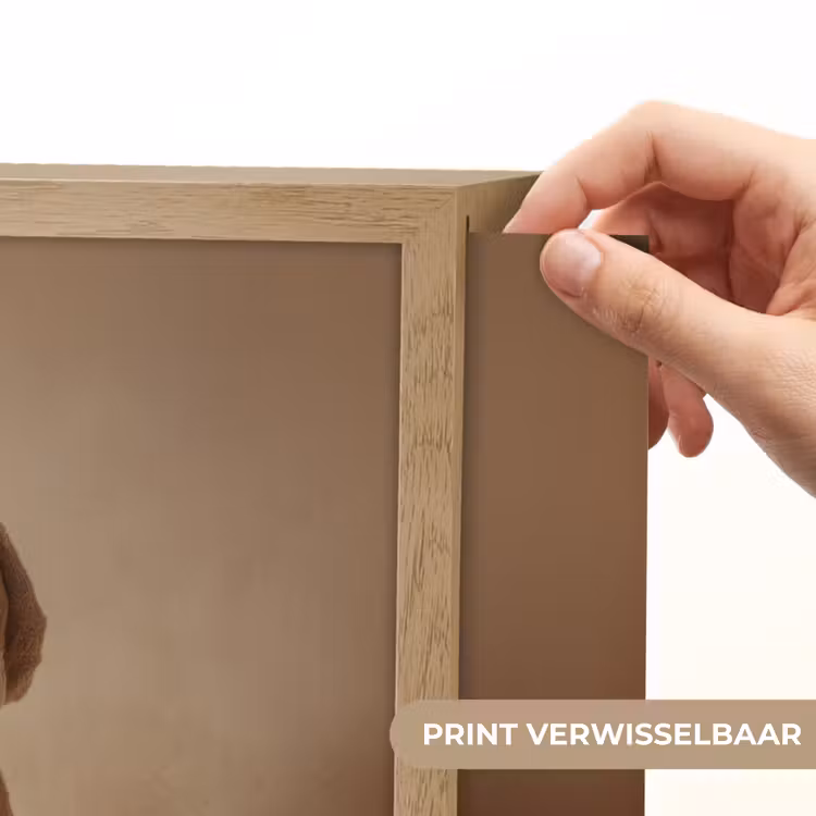 Bad - Hond - Boek - Zonnebril Light Box met batterij (Wandlamp) middel -USP_websiteprintNL