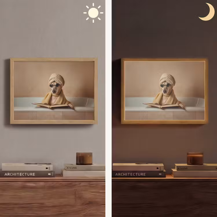 Bad - Hond - Boek - Zonnebril Light Box met batterij (Wandlamp) middel -sfeer3
