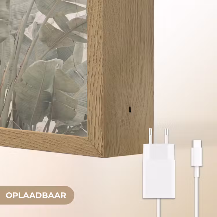 Bananenbladeren - Beton - Groen Light Box met batterij (Wandlamp) middel -USP_websiteoplaadbaarNL