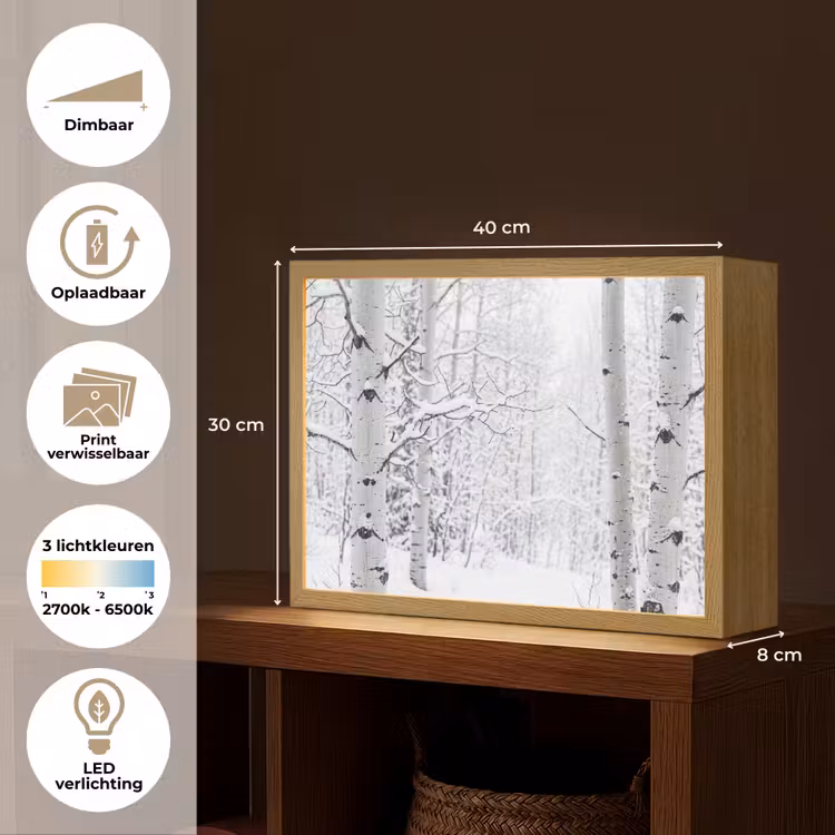 Berkenbomen - Sneeuw - Winter - Bos - Wit Light Box met batterij (Wandlamp) middel -USP_websiteoverzichtNL