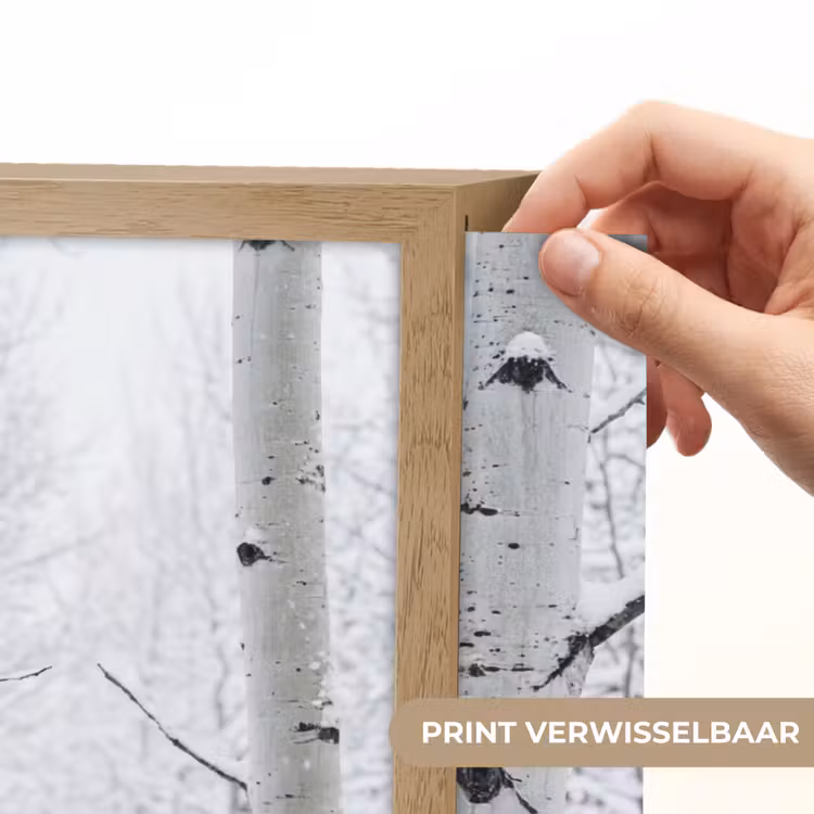 Berkenbomen - Sneeuw - Winter - Bos - Wit Light Box met batterij (Wandlamp) middel -USP_websiteprintNL
