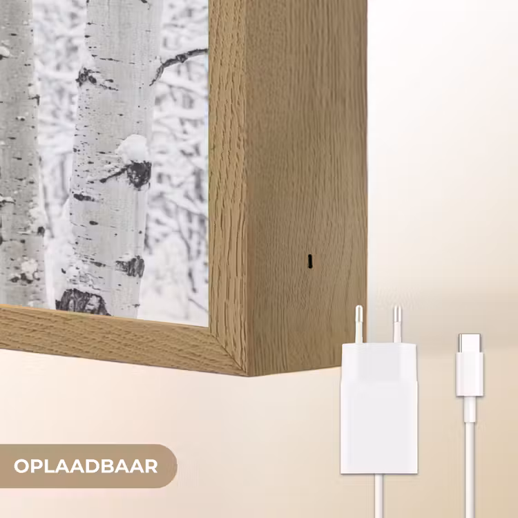 Berkenbomen - Sneeuw - Winter - Bos - Wit Light Box met batterij (Wandlamp) middel -USP_websiteoplaadbaarNL