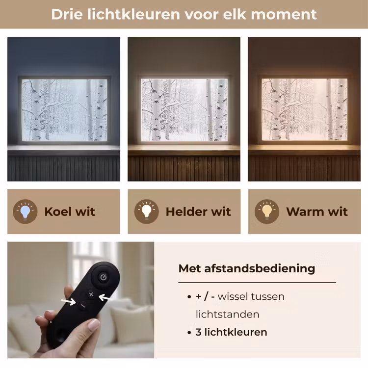 Berkenbomen - Sneeuw - Winter - Bos - Wit Light Box met batterij (Wandlamp) middel -USP_lichtkleurNL