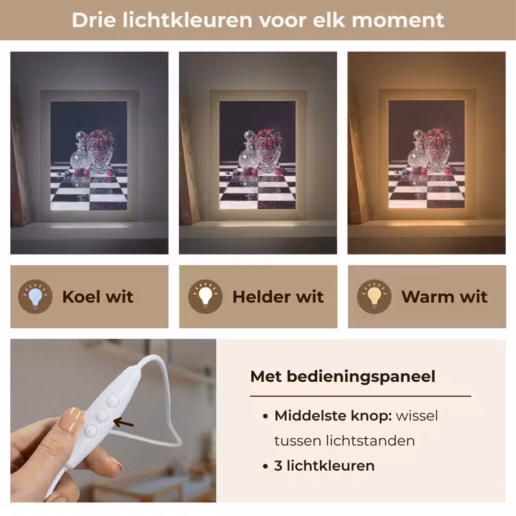 Lightbox - Wandlamp - Bessen - Kristal - Stilleven - Bessen - Kristal - Stilleven Light Box met kabel (Wandlamp) klein
