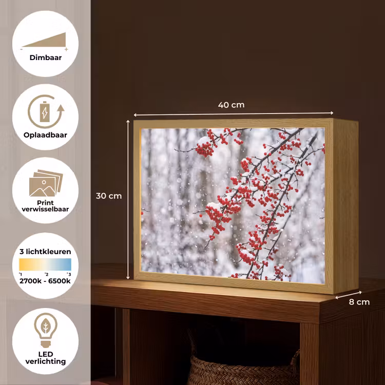 Bessen - Takken - Sneeuw - Winter - Kleurrijk Light Box met batterij (Wandlamp) middel -USP_websiteoverzichtNL