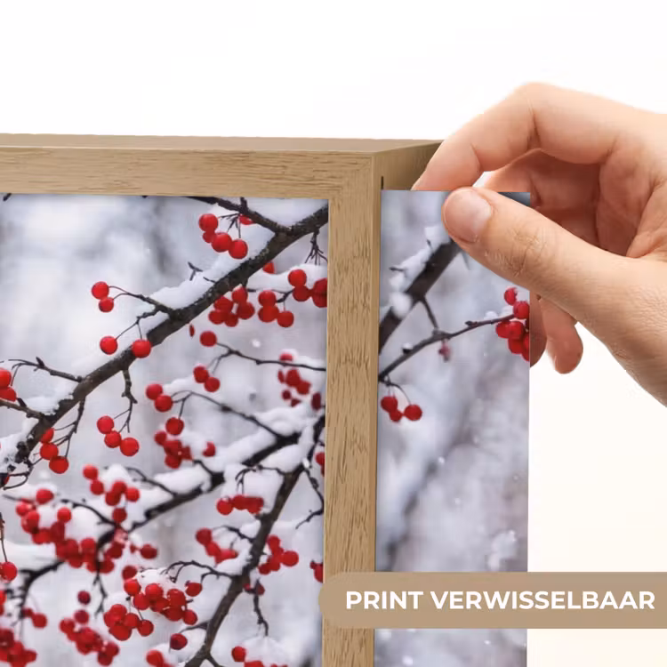 Bessen - Takken - Sneeuw - Winter - Kleurrijk Light Box met batterij (Wandlamp) middel -USP_websiteprintNL