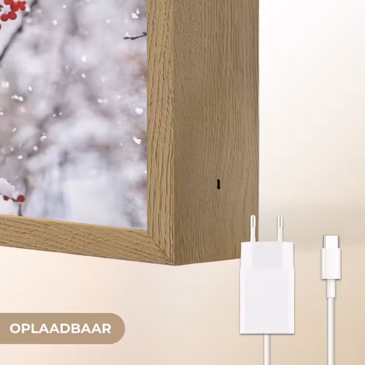 Bessen - Takken - Sneeuw - Winter - Kleurrijk Light Box met batterij (Wandlamp) middel -USP_websiteoplaadbaarNL