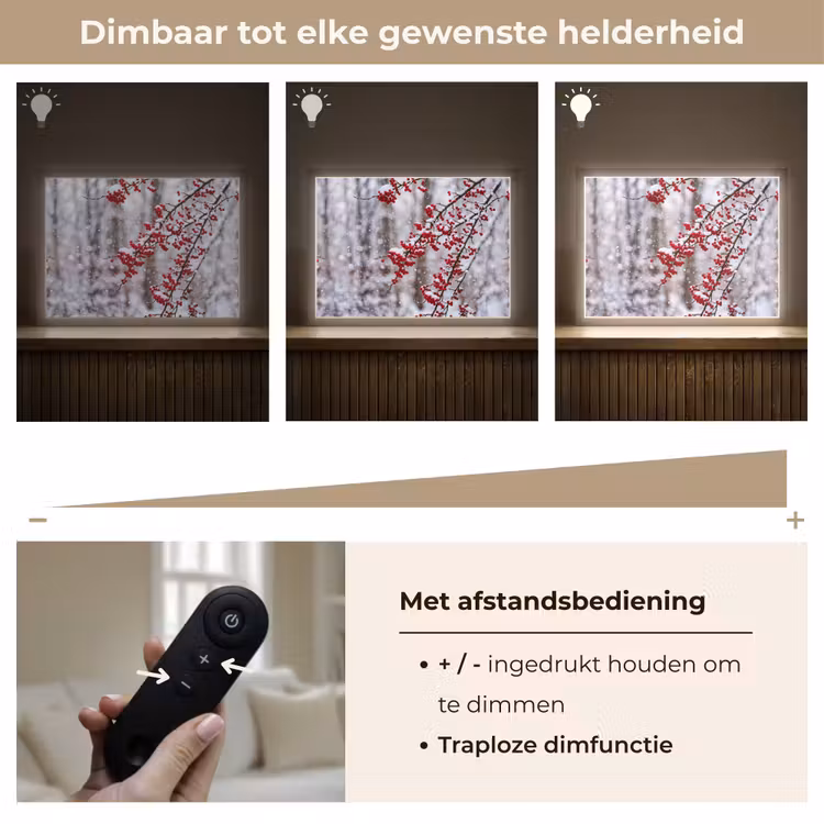 Bessen - Takken - Sneeuw - Winter - Kleurrijk Light Box met batterij (Wandlamp) middel -USP_dimbaarNL