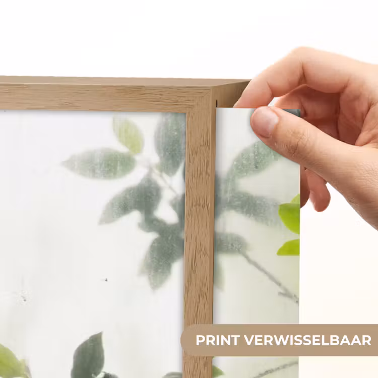 Blad - Schaduw - Natuur - Abstract - Groen Light Box met batterij (Wandlamp) middel -USP_websiteprintNL