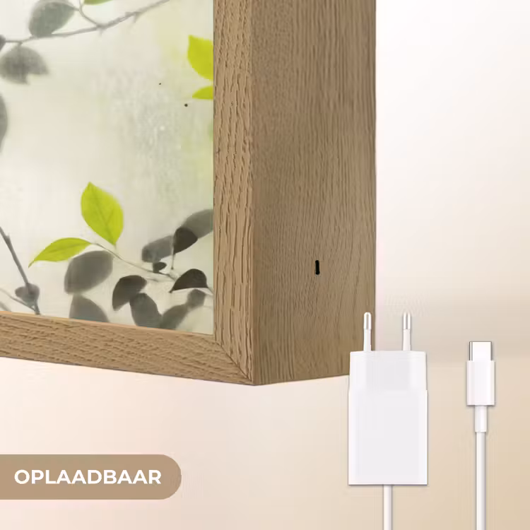 Blad - Schaduw - Natuur - Abstract - Groen Light Box met batterij (Wandlamp) middel -USP_websiteoplaadbaarNL