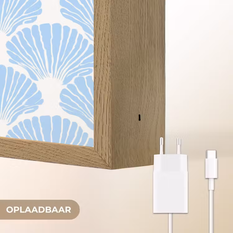 Blauw - Wit - Schelpen - Grafisch - Structuur Light Box met batterij (Wandlamp) middel 907 -USP_websiteoplaadbaarNL