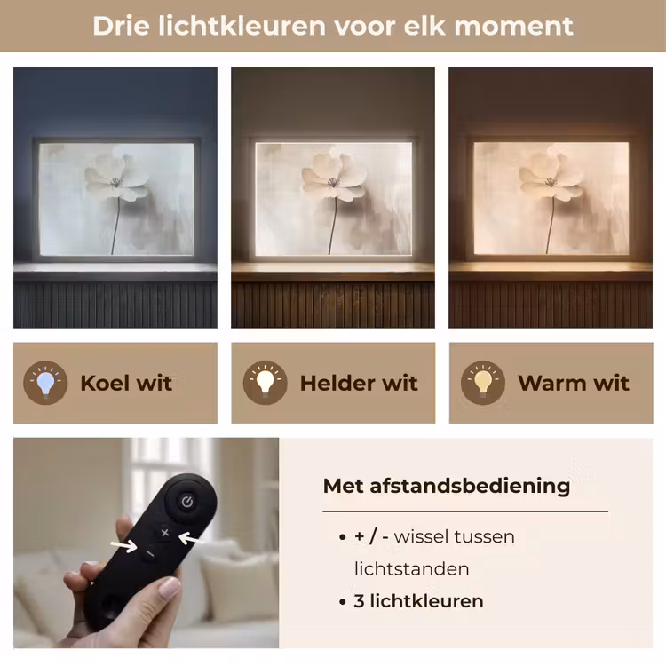 Bloem - Beige - Verf - Schaduw Light Box met batterij (Wandlamp) middel -USP_lichtkleurNL