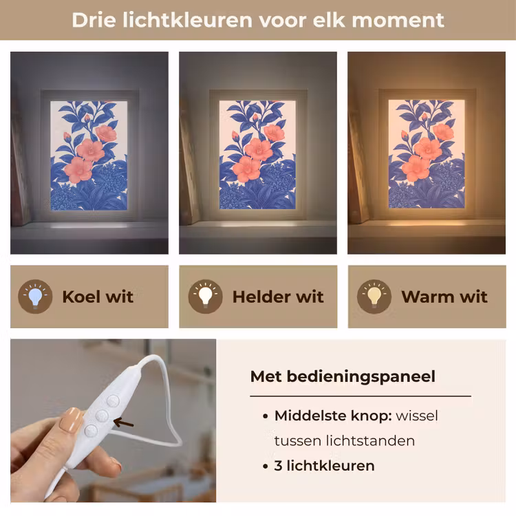 Lightbox - Wandlamp - Bloemen - Bladeren - Botanisch - Bloemen - Bladeren - Botanisch Light Box met kabel (Wandlamp) klein