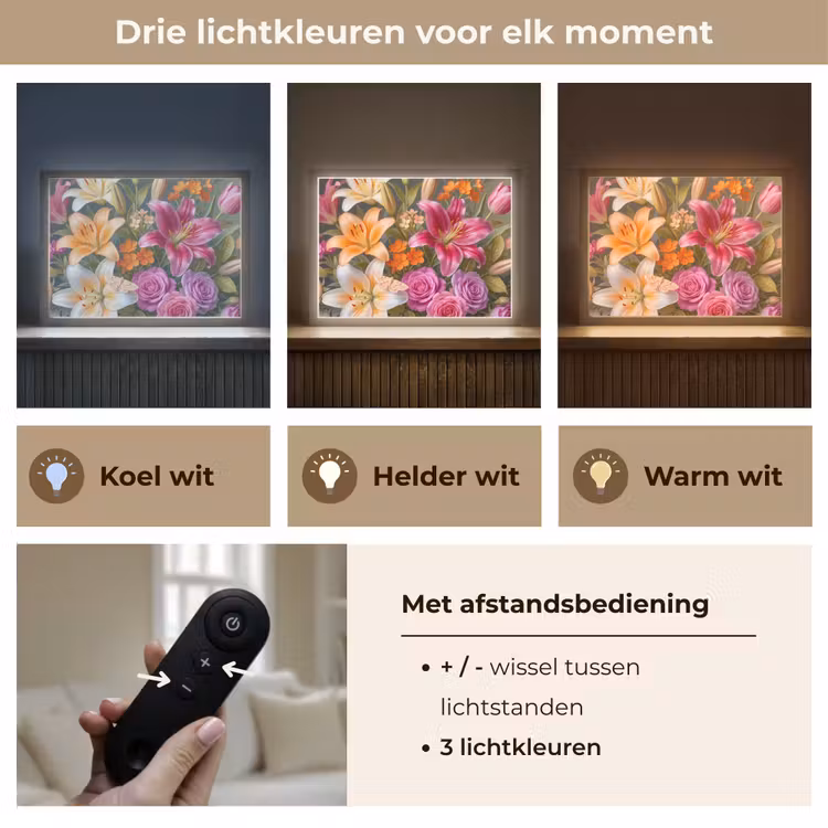 Bloemen - Boeket - Natuur - Kleurrijk - Modern Light Box met batterij (Wandlamp) middel -USP_lichtkleurNL