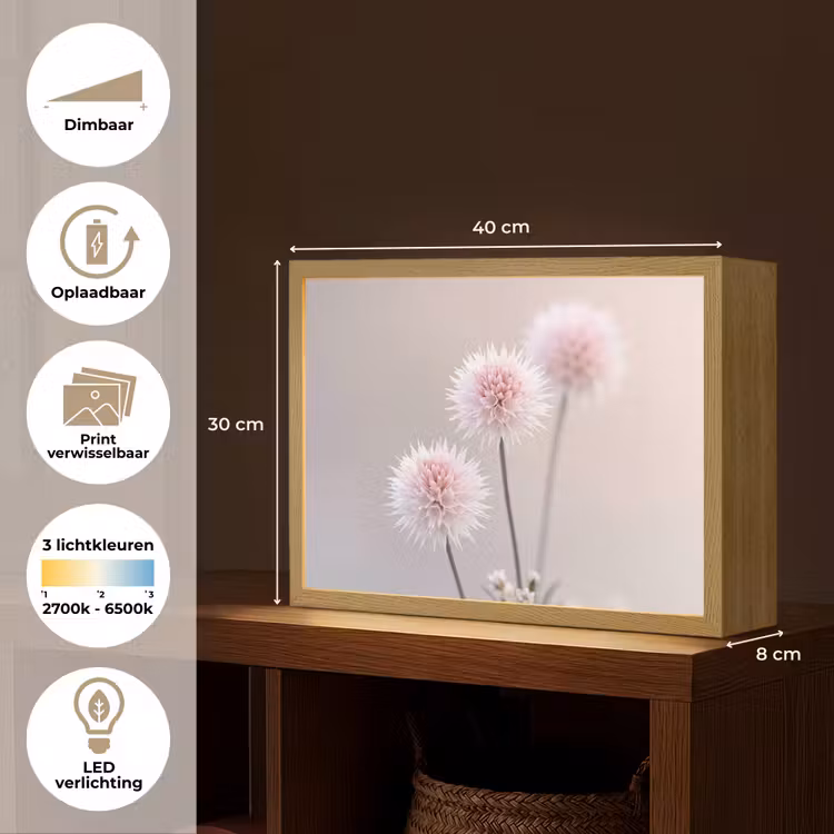 Bloemen - Bollen - Roze Light Box met batterij (Wandlamp) middel -USP_websiteoverzichtNL