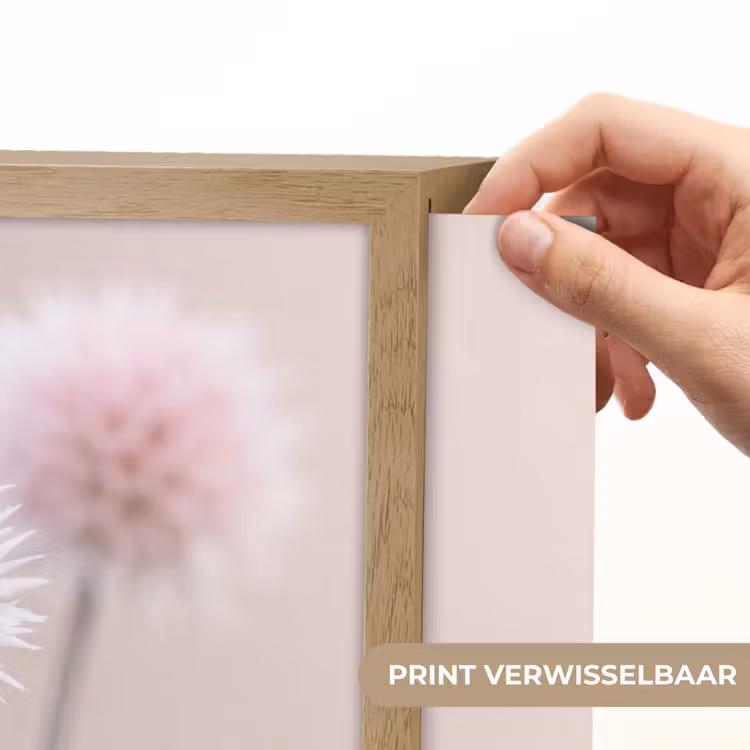 Bloemen - Bollen - Roze Light Box met batterij (Wandlamp) middel -USP_websiteprintNL