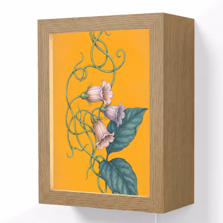Lightbox - Wandlamp - Bloemen - Botanisch - Geel - Bloemen - Botanisch - Geel Light Box met kabel (Wandlamp) klein