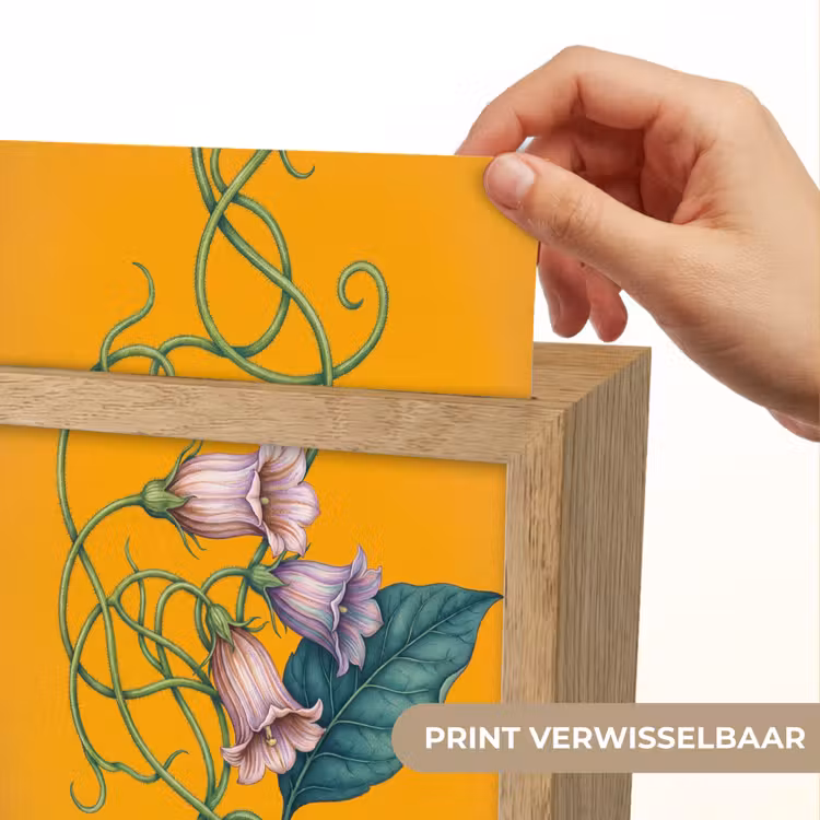 Lightbox - Wandlamp - Bloemen - Botanisch - Geel - Bloemen - Botanisch - Geel Light Box met kabel (Wandlamp) klein