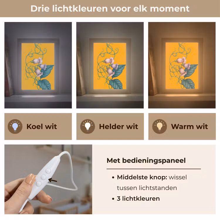 Lightbox - Wandlamp - Bloemen - Botanisch - Geel - Bloemen - Botanisch - Geel Light Box met kabel (Wandlamp) klein