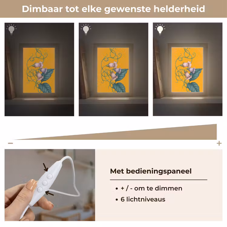 Lightbox - Wandlamp - Bloemen - Botanisch - Geel - Bloemen - Botanisch - Geel Light Box met kabel (Wandlamp) klein