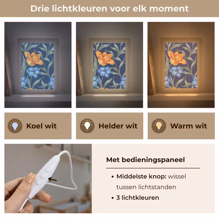 Lightbox - Wandlamp - Bloemen - Botanisch - Patroon - Bloemen - Botanisch - Patroon Light Box met kabel (Wandlamp) klein