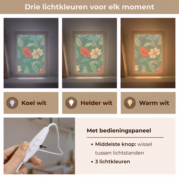 Lightbox - Wandlamp - Bloemen - Groen - Illustratie - Bloemen - Groen - Illustratie Light Box met kabel (Wandlamp) klein