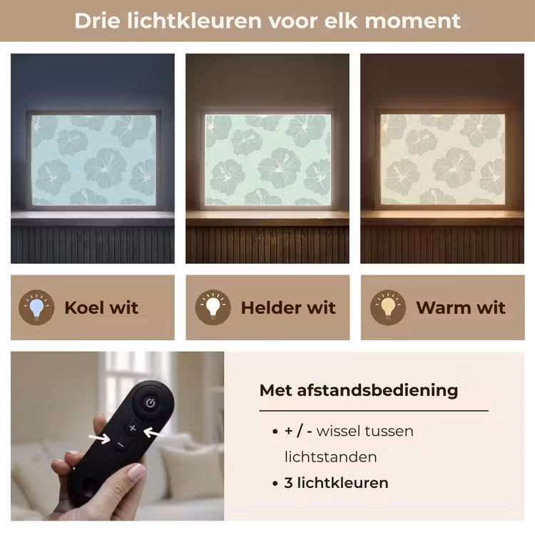 Bloemen - Hibiscus - Mint Light Box met batterij (Wandlamp) middel 907 -USP_lichtkleurNL