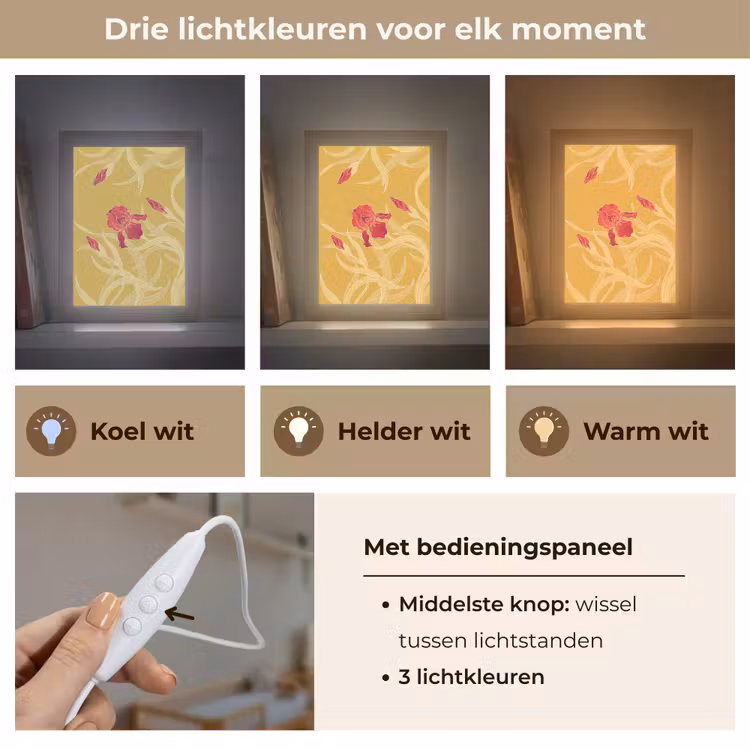 Lightbox - Wandlamp - Bloemen - Illustratie - Rood - Bloemen - Illustratie - Rood Light Box met kabel (Wandlamp) klein