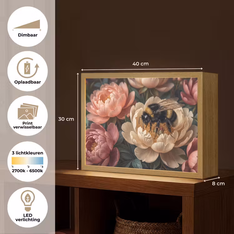Bloemen - Insect - Natuur - Roze Light Box met batterij (Wandlamp) middel -USP_websiteoverzichtNL