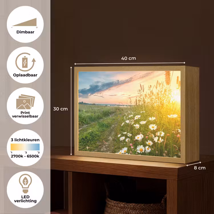 Bloemen - Madelief - Natuur - Zon - Horizon Light Box met batterij (Wandlamp) middel -USP_websiteoverzichtNL