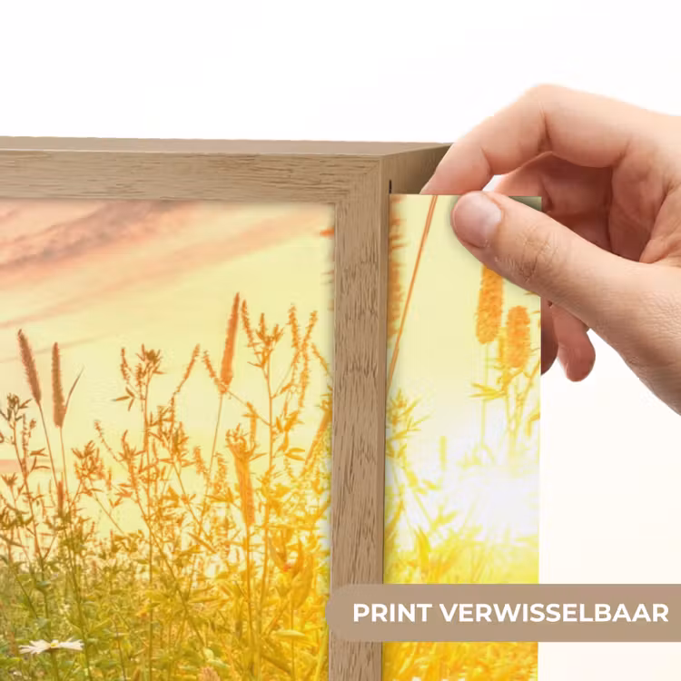 Bloemen - Madelief - Natuur - Zon - Horizon Light Box met batterij (Wandlamp) middel -USP_websiteprintNL