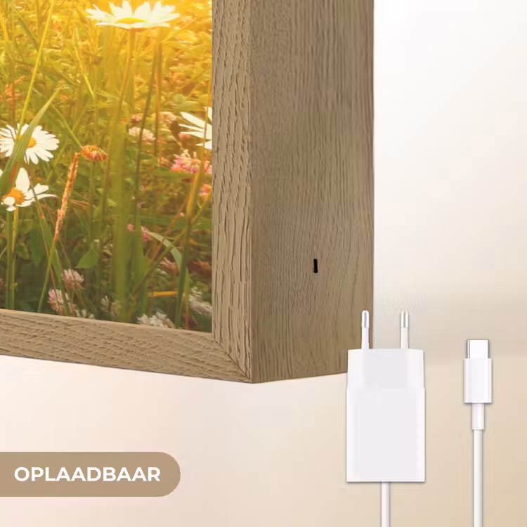 Bloemen - Madelief - Natuur - Zon - Horizon Light Box met batterij (Wandlamp) middel -USP_websiteoplaadbaarNL
