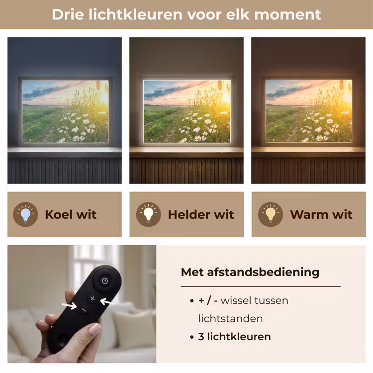 Bloemen - Madelief - Natuur - Zon - Horizon Light Box met batterij (Wandlamp) middel -USP_lichtkleurNL