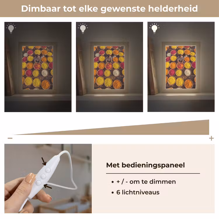 Lightbox - Wandlamp - Bloemen - Markt - Kleurrijk - Bloemen - Markt - Kleurrijk Light Box met kabel (Wandlamp) klein