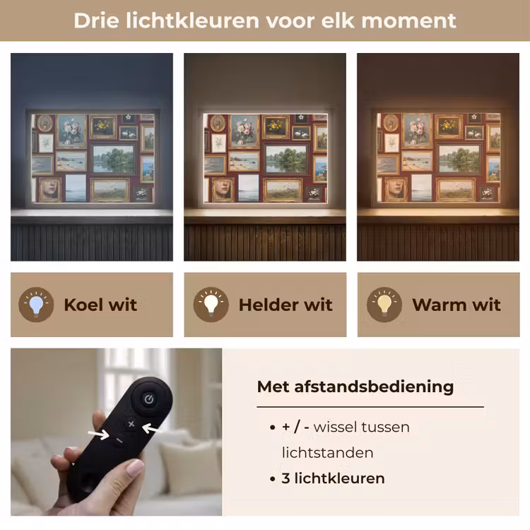 Bloemen - Vaas - Klassiek - Kunst - Rood Light Box met batterij (Wandlamp) middel -USP_lichtkleurNL
