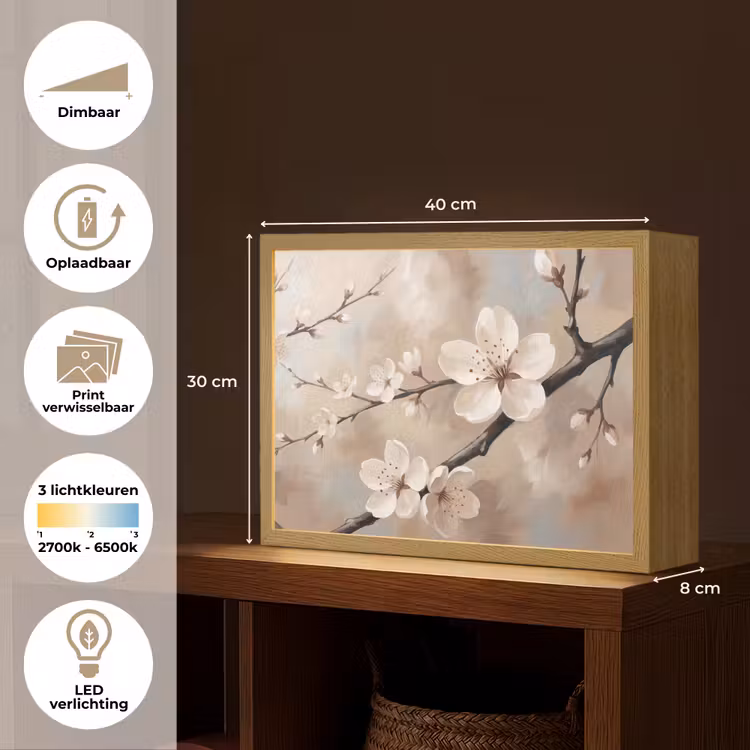 Bloesem - Takken - Schilderij - Beige - Serene Light Box met batterij (Wandlamp) middel -USP_websiteoverzichtNL