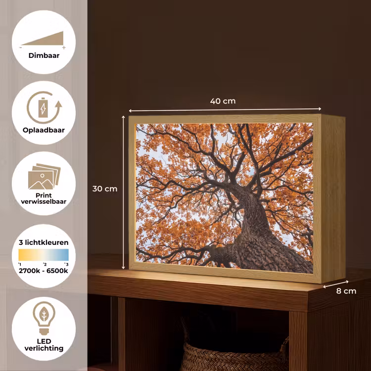 Boom - Bladerdak - Herfst - Oranje - Sfeervol Light Box met batterij (Wandlamp) middel -USP_websiteoverzichtNL