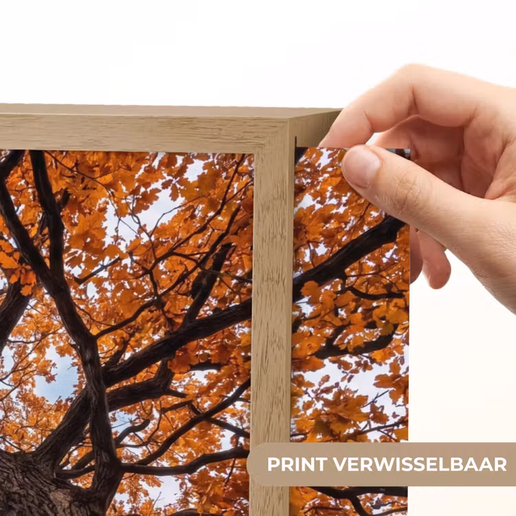 Boom - Bladerdak - Herfst - Oranje - Sfeervol Light Box met batterij (Wandlamp) middel -USP_websiteprintNL