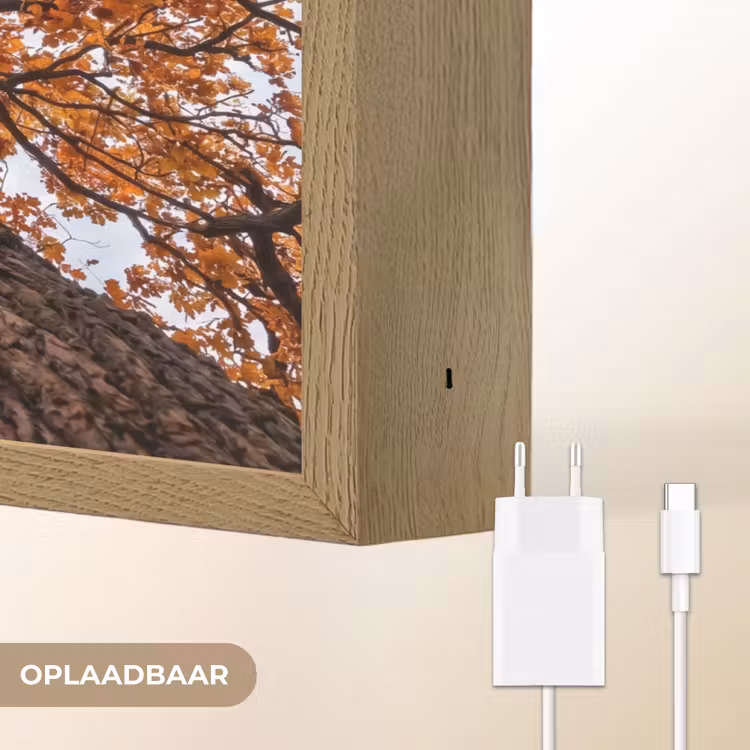 Boom - Bladerdak - Herfst - Oranje - Sfeervol Light Box met batterij (Wandlamp) middel -USP_websiteoplaadbaarNL