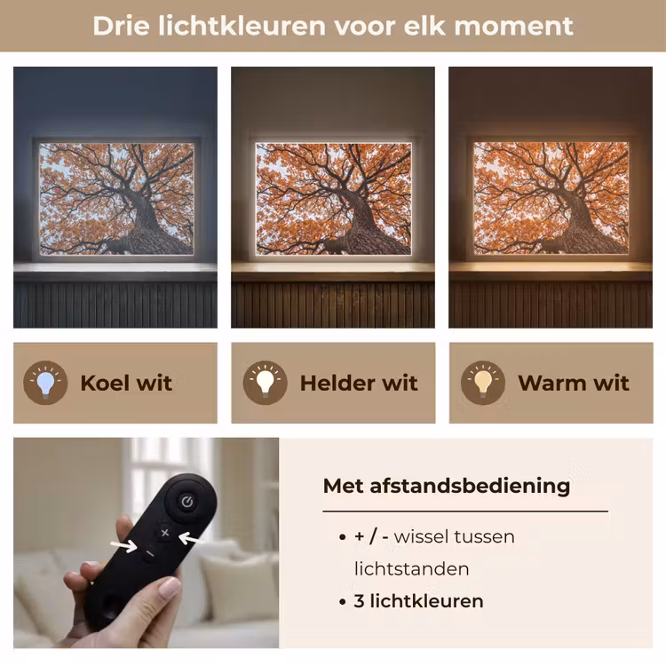 Boom - Bladerdak - Herfst - Oranje - Sfeervol Light Box met batterij (Wandlamp) middel -USP_lichtkleurNL