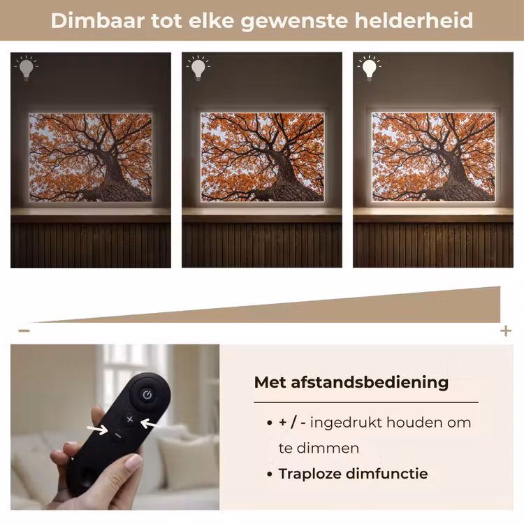 Boom - Bladerdak - Herfst - Oranje - Sfeervol Light Box met batterij (Wandlamp) middel -USP_dimbaarNL