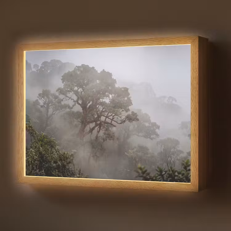 Boom - Mistig - Bos - Groen - Natuur Light Box met batterij (Wandlamp) middel -z3d_website