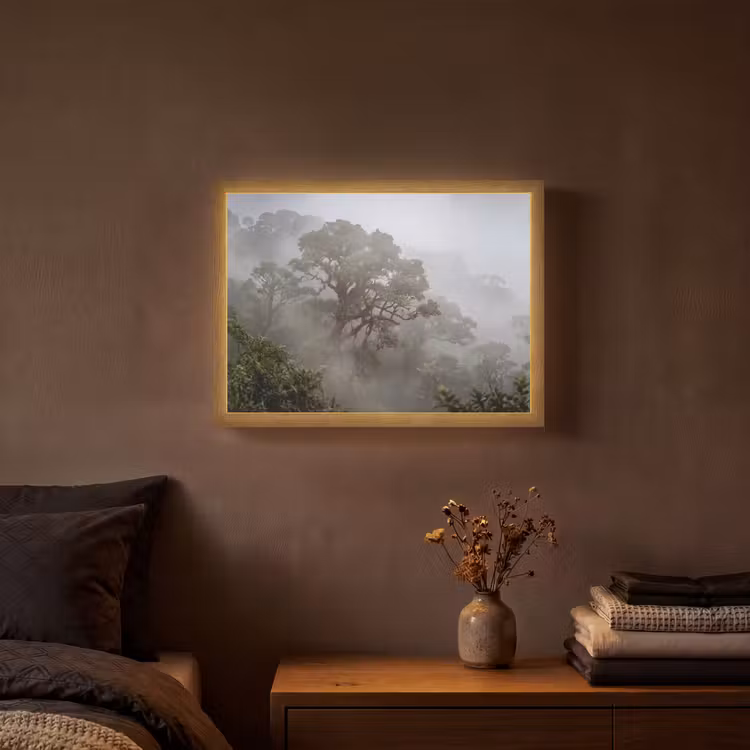 Boom - Mistig - Bos - Groen - Natuur Light Box met batterij (Wandlamp) middel -sfeer4